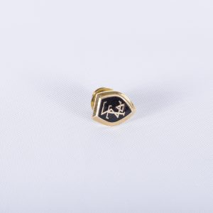 SIGMA TAU DELTA English Honor Society, Goldtone Tie TackMembership Pin